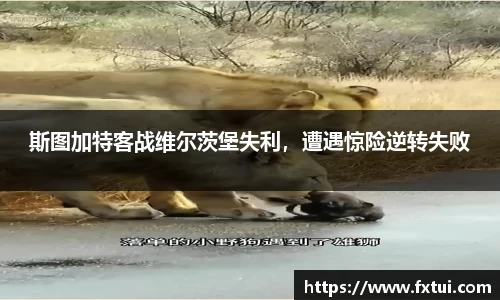 斯图加特客战维尔茨堡失利，遭遇惊险逆转失败