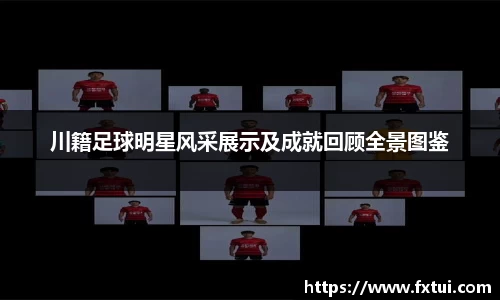bsports官方网站